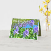 ホ イ オ イ(花) ア  KAART (Gele Bloem)