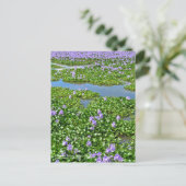 ホ テ ア イ(花) BRIEFKAART (Staand voorkant)