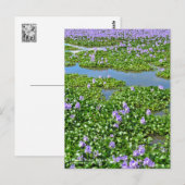 ホ テ ア イ(花) BRIEFKAART (Voorkant / Achterkant)