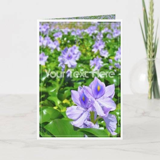 ホ テ ア イ(花) KAART (Voorkant)