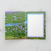 ホ テ ア イ(花) KAART (Binnen)