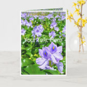 ホ テ ア イ(花) KAART (Gele Bloem)