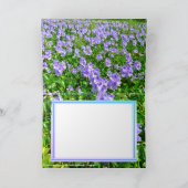 ホ テ ア イ(花) KAART (Binnen)