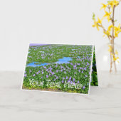 ホ テ ア イ(花) KAART (Gele Bloem)