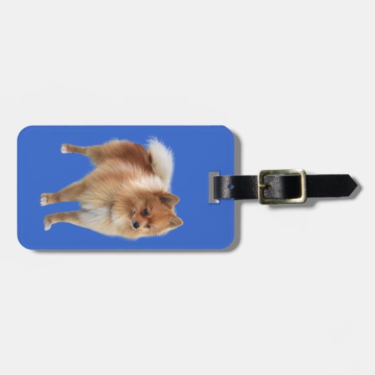 ポメラニアン BAGAGELABEL (Voorkant horizontaal)