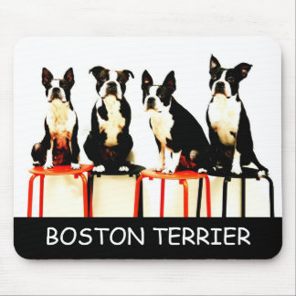 マウス (3), BOSTON TERRIER MUISMAT