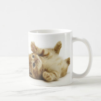 マルチカン子猫 マグカップ KOFFIEMOK
