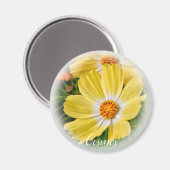 マ ネ ト MAGNEET (Voorkant / Achterkant)