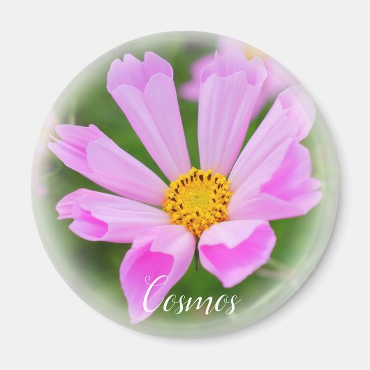 マ ネ ト MAGNEET (Voorkant)