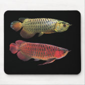 マ レゴsteken アシ88888888888888ンールデ opンアロワナとスーパーレッドアロワ muismat (Voorkant)