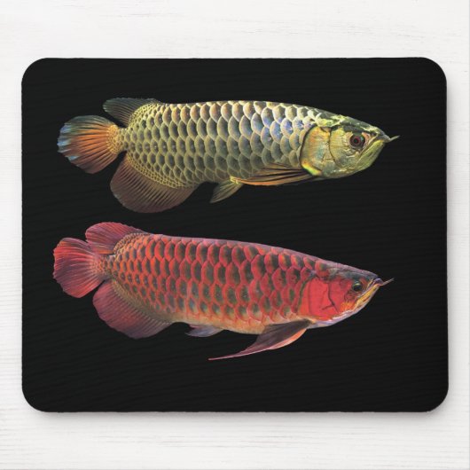 マ レゴsteken アシ88888888888888ンールデ opンアロワナとスーパーレッドアロワ muismat (Voorkant)