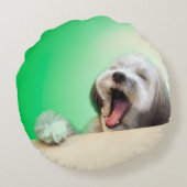 ミックス犬と至福の眠りを(グリーン) ROND KUSSEN (Achterkant)