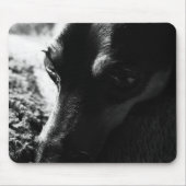 ミニチュアピンシャー マウスパッド MUISMAT (Voorkant)