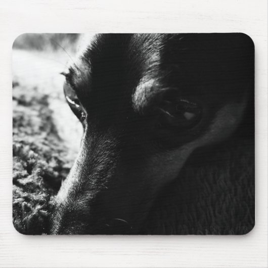 ミニチュアピンシャー マウスパッド MUISMAT (Voorkant)