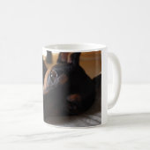 ミニチュアピンシャー KOFFIEMOK (Voorkant rechts)