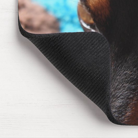 ミニチュアピンシャー MUISMAT (Hoek)