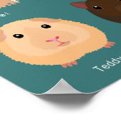 モルモットの種類一覧 POSTER (Hoek)