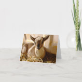 ヤギの赤ちゃん 二つ折りグリーティングカード カード KAART (Voorkant)