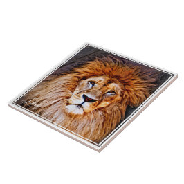 ライオンタ イル TEGELTJE