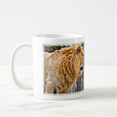 ライオン KOFFIEMOK (Links)