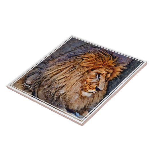 ラ イ ン タ イ ル TEGELTJE (Zijkant)