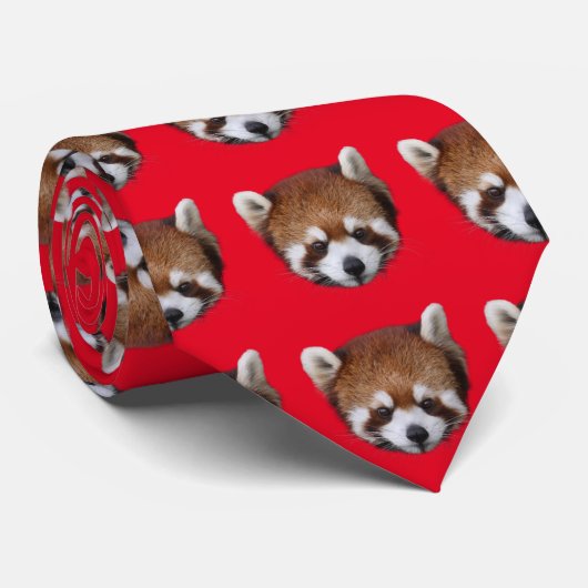 レッサーパンダ STROPDAS (Opgerold)