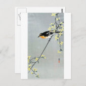 レ ン に , ョ , oranje orkaan, Ohara Kohara Kohara, ギ. Briefkaart (Voorkant / Achterkant)