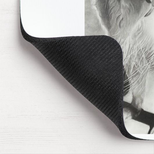 ワンちゃんとの時間 MUISMAT (Hoek)