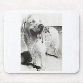 ワンちゃんとの時間 MUISMAT