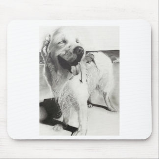 ワンちゃんとの時間 MUISMAT