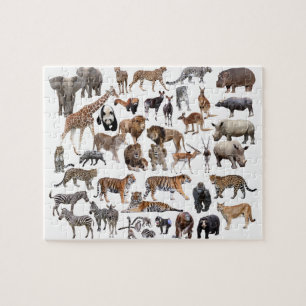 世 界 動 物 の  ) LEGPUZZEL