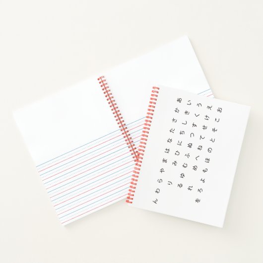 五十音(カカナ ひ ら が な 両 面タenz.) notitieboek (Binnen)