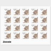 令和2020► DEGU ►   Rodents Vierkante Sticker (Vel)