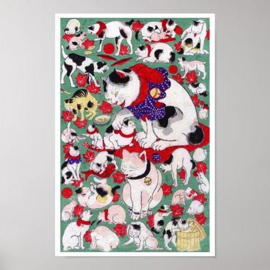 作 者 不 Katten, Auteur onbekend Poster (Voorkant)