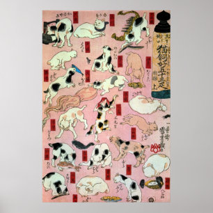 其 の猫ongB地bR0000000000000000000000000000000 Poster