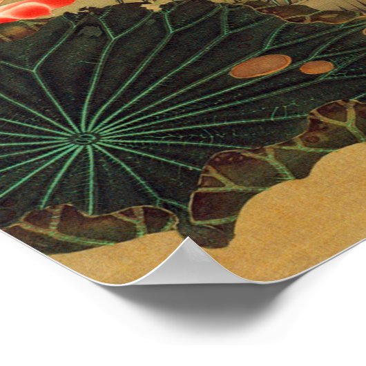 動植綵絵(17)蓮池遊魚図, 伊藤若冲 POSTER (Hoek)