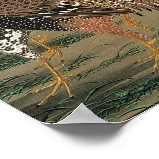 動植綵絵(20)群鶏図, 伊藤若冲 POSTER (Hoek)