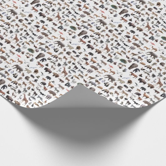 動物たち CADEAUPAPIER (Hoek)