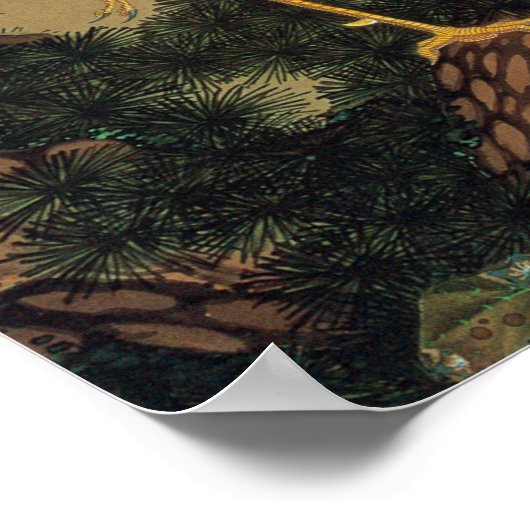 動 植 5)松(2,5%, 綵老白絵鳳図伊2,5% POSTER (Hoek)