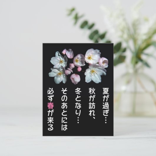 募 用 , torenbloesems , 桜 briefkaart (Staand voorkant)