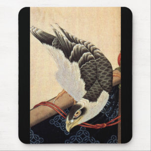 北 斎 鷹, 北 Hokusai Hawk, Hokusai Muismat