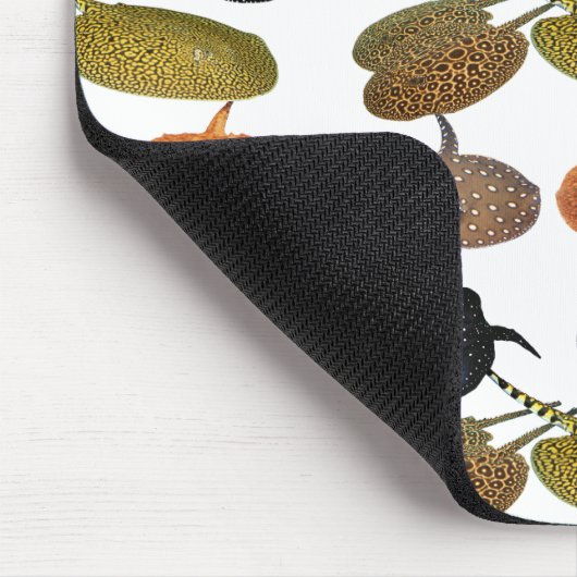 南米産淡 水エイ の マ ウ ス パ ッ ド05 MUISMAT (Hoek)