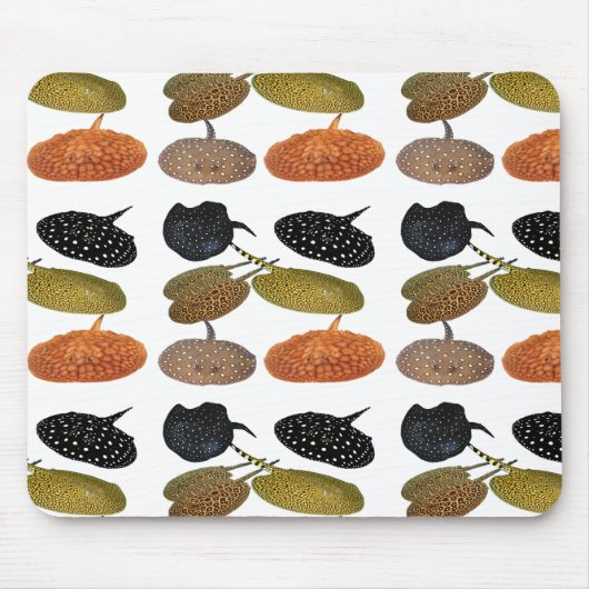 南米産淡 水エイ の マ ウ ス パ ッ ド05 MUISMAT (Voorkant)