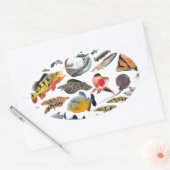 大型熱帯魚 OVALE STICKER (Envelop)