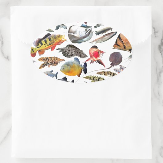 大型熱帯魚 OVALE STICKER (Tas)