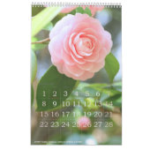 季節の花々のカレンダー KALENDER (Feb 2026)