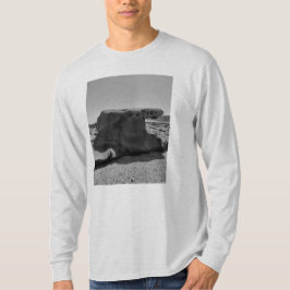 宮崎・青島より。 Tシャツ T-SHIRT