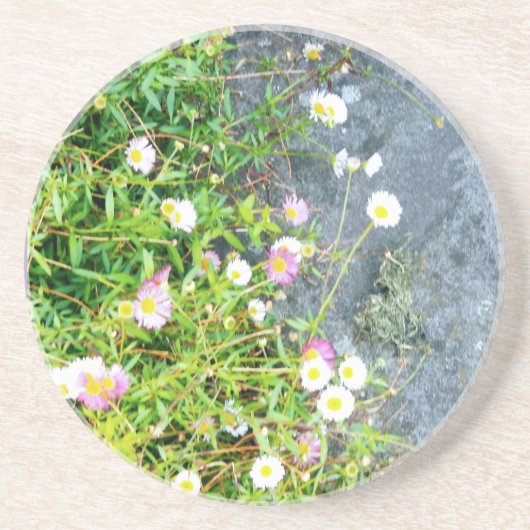 小さな花   ZANDSTEEN ONDERZETTER (Voorkant)