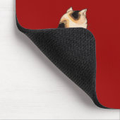 日 本 猫, 国 Japanse kat, Kuniyoshi, Ukiyo-e Muismat (Hoek)