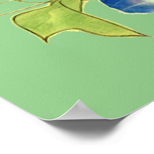 朝顔子猫図　Morning glory and kitten Poster (Hoek)